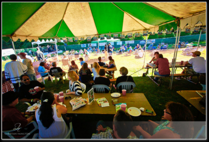 bothell-blues-festival-2011-beer-garden